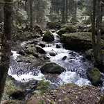 Anno - Wohlfuehl - Idylle In Gruenbach_kirchdorf *